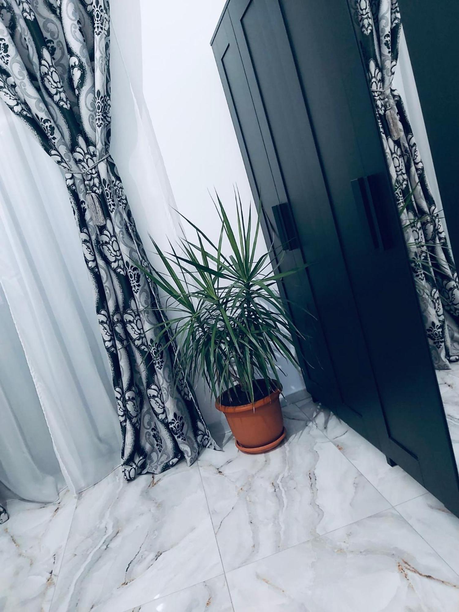 The Of Silver Sky House Apartment *
